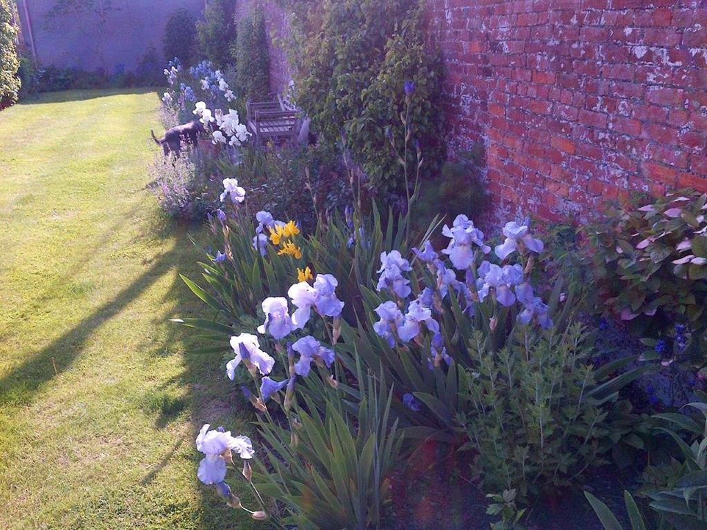 Coxley House Wells Exterior foto